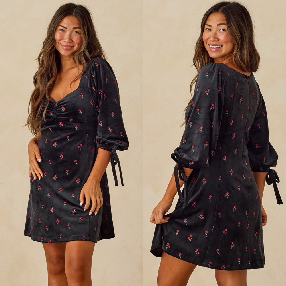 NWT Noralee Morgan Feminine Romantic Dress in Velvet Floral Sz Small 🧡🍄